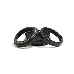 Fork Seals & Bushings