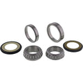 All Balls Steering Bearing Kit 22-1014 Husqvarna Svartpilen 125 24-25 NEW