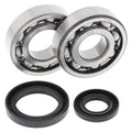 All Balls Crank Shaft Bearings 24-1017 Suzuki RM250 86-88 NEW SHIPS TODAY