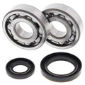 All Balls Crank Shaft Bearings 24-1019 Suzuki RM250 89-93 NEW SHIPS TODAY