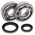 All Balls Crank Shaft Bearings 24-1021 Suzuki RM250 96-02 NEW SHIPS TODAY