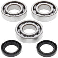 All Balls Crank Shaft Bearings 24-1078 Polaris Big Boss 250 6x6 93 SHIPS TODAY