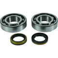 All Balls Crank Shaft Bearings 24-1122 Beta EVO 2T 125 13-24 NEW SHIPS TODAY