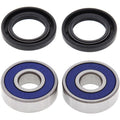 All Balls Wheel Bearing Kit Front 25-1025 Honda CH125 (EU) 94, NAVI 110 22-25
