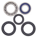 All Balls Wheel Bearing Kit Rear 25-1139 Yamaha YFM250 Beartracker 00-04 NEW