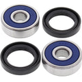 All Balls Wheel Bearing Kit Rear 25-1300 Honda CT110 Trail 80-86 NEW SHIPS TODAY