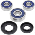 All Balls Wheel Bearing Kit Rear 25-1304 Honda CT90 Trail 66-79 NEW SHIPS TODAY