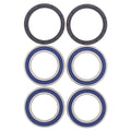 All Balls Wheel Bearing Kit Rear 25-1565 Can-Am DS 450 10-13 NEW SHIPS TODAY