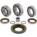 All Balls Rear Differential Bearings 25-2086 Can-Am Commander 1000 DPS 11-13 NEW